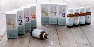 Free Website Template by Free-Template.co