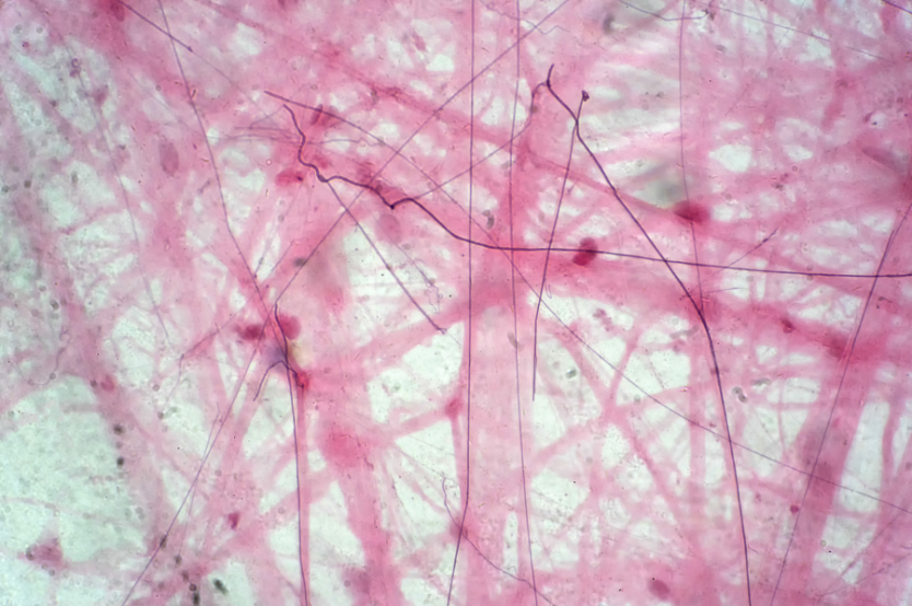 Free Website Template by Free-Template.co