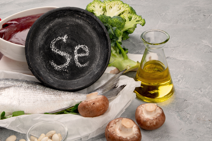 Free Website Template by Free-Template.co